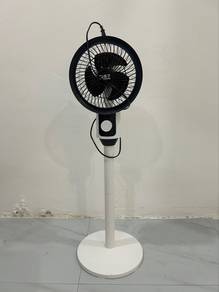 fan