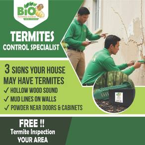 Termites Control Services 白蚁防治服务