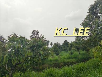 Agricultural Land in Kulim, KDH