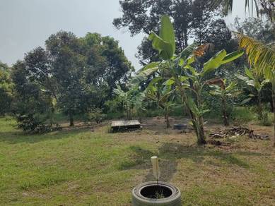 Agricultural Land in Lenggeng, NSN