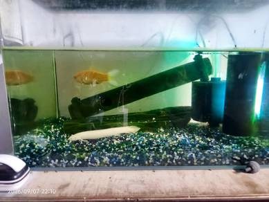 Aquarium angkut sekali ikan