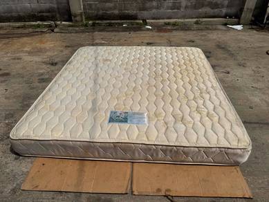 (Kingkoil) 8'' Spring Coil Tilam King Mattress