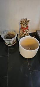 Garden Pot For Sale