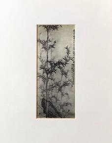 Chinese Ink Painting Peacock & Bamboo