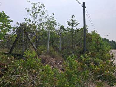 Residential Land in Marang, TRG
