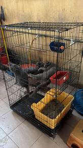 BSH mix