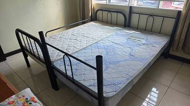 single bunk bed