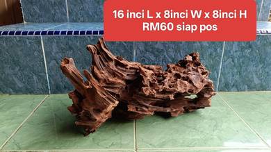 kayu aquascape driftwood full body berlubang