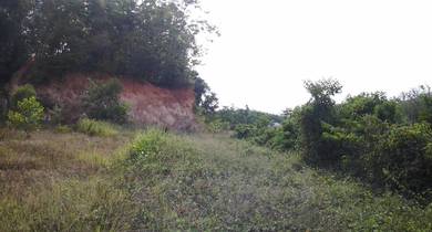 Residential Land in Pendang, KDH
