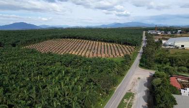 Industrial Land in Sungai Petani, KDH