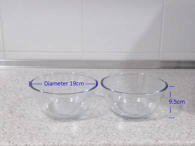 Large Thick Glass Round Bowls 2-piece Set
