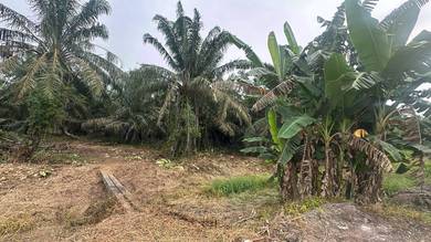 Agricultural Land in Ayer Baloi, JHR