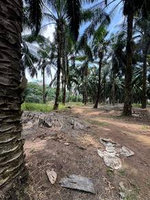 Agricultural Land in Sungai Rambai, MLK