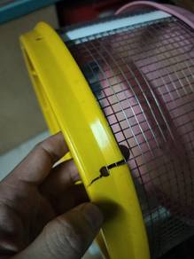 sugar glider whells