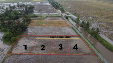 Agricultural Land in Kuala Perlis, PLS