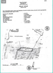 Residential Land in Marang, TRG