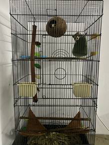 Combo Sugar Glider