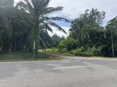 Agricultural Land in Pontian, JHR