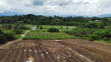 Agricultural Land in Simpang Pulai, PRK