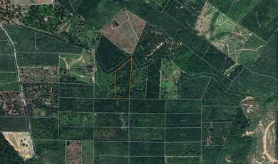 Agricultural Land in Raub, PHG