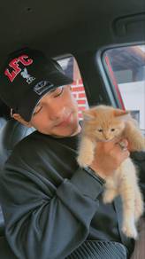 ANAK KUCING 2months (MOCHI)