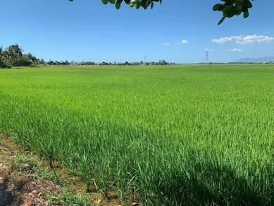 Agricultural Land in Sungai Dua, PNG