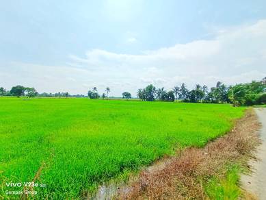 Agricultural Land in Pendang, KDH
