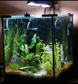 Aquarium ikan 1Kaki, Harga murah ii