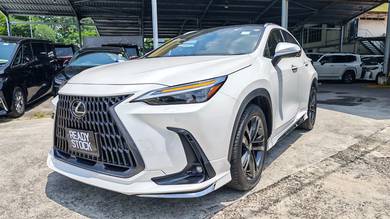2023 Lexus NX 250 LUXURY