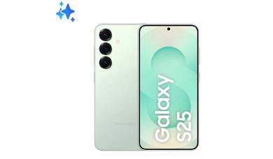 Samsung Galaxy  S25 12+12 256GB