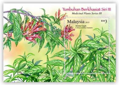 Miniature Sheet Pef Medicinal Plants 3 Msia 2015