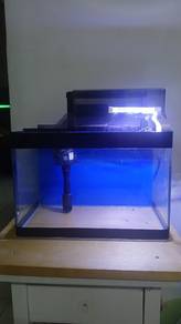 aquarium