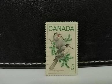 1968 Canada Stamp Grey Jay Bird