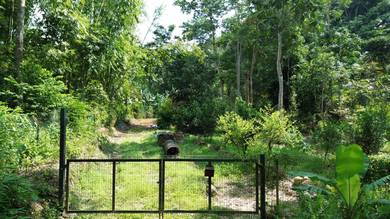 Agricultural Land in Ulu Yam, SGR