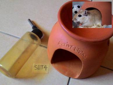 Dy used Hamster Water Bottle & TerraCave Block