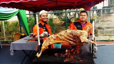 Kambing golek chief salem