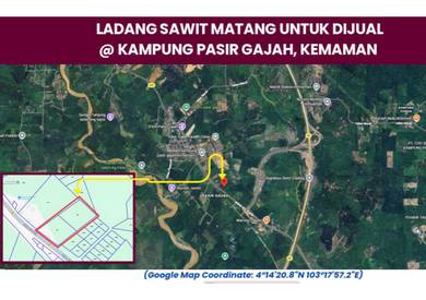 Agricultural Land in Kemaman, TRG