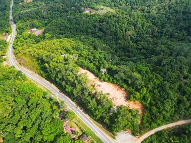 Agricultural Land in Kuala Pilah, NSN