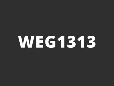 WEG1313