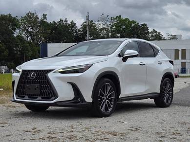 Lexus NX 250 LUXURY in Johor Bahru, JHR