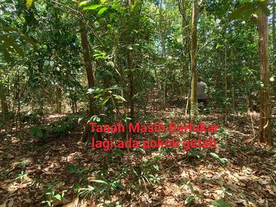 Agricultural Land in Rembau, NSN