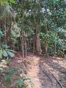 Agricultural Land in Parit, PRK