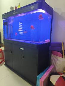CURVE FISH AQUARIUM 120CM With Cabinet