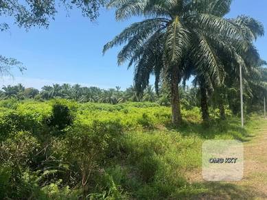 Agricultural Land in Kuala Selangor, SGR