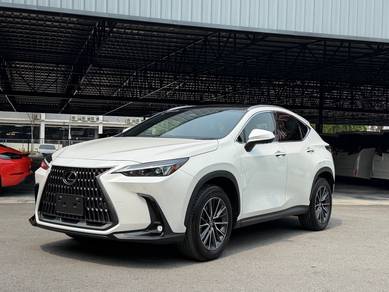 Lexus NX 250 LUXURY in Pudu, KUL