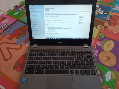 Acer