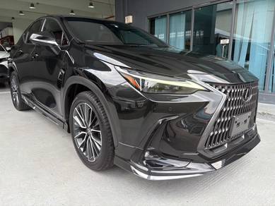 2023 Lexus NX 250 LUXURY