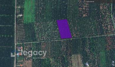 Agricultural Land in Bagan Datoh, PRK