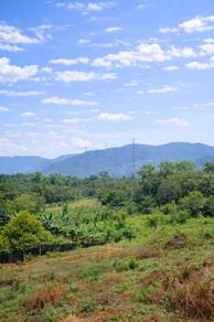Agricultural Land in Lenggeng, NSN