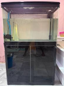 2.5 Feet Aquarium for Sale – Perfect Starter Setup